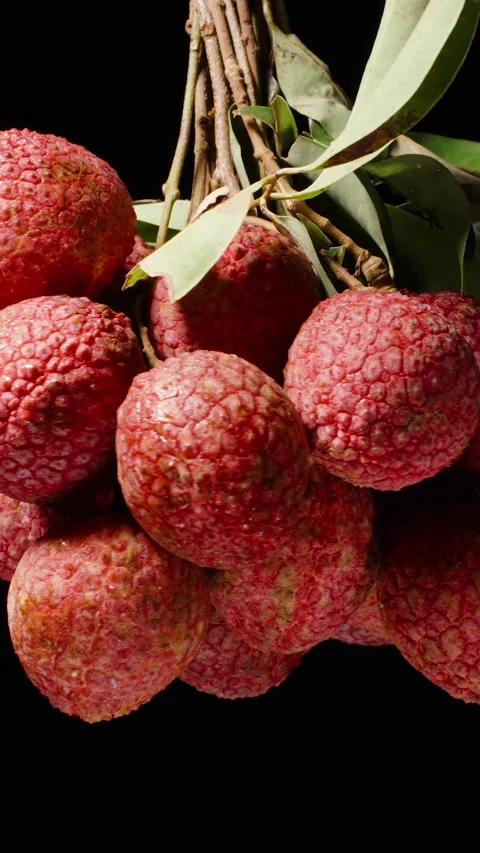 Vertical video. Cluster of Ripe Lychee Fruits with Leaves Rotating in Seamless Stock Footage 311031146