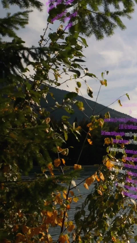 Vertical video: Code appearing shifting right to show overlay branch holding Stock Footage 329612881