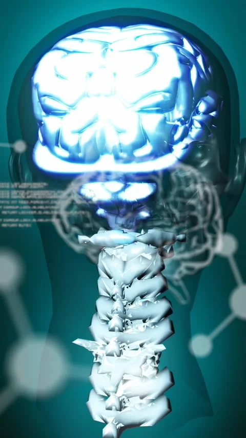 Vertical video: Code flowing holo rising brain glowing spine tilting skull Stockbeeldmateriaal 335678176