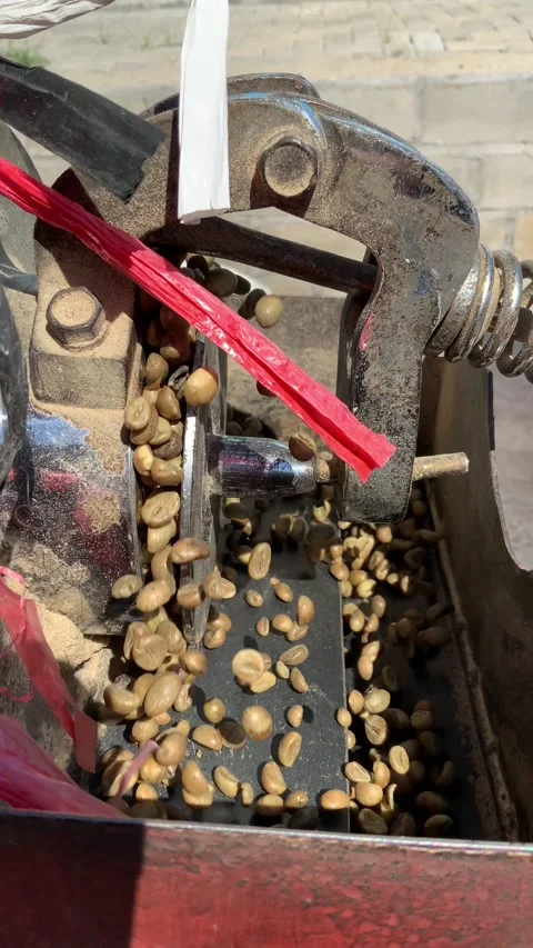 Vertical Video of Coffee Bean Processing Machine Stock Footage 343478857