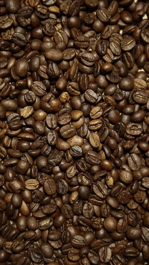 Vertical video of coffee beans Stock Footage 242673345