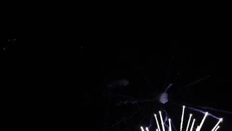 VERTICAL VIDEO, Colorful firework display celebration in the night sky Stock Footage 123022783