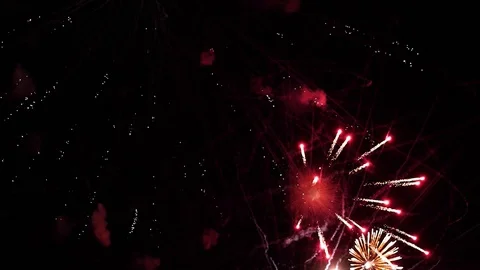 VERTICAL VIDEO, Colorful firework display celebration in the night sky Stock Footage 123025616