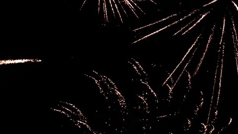 VERTICAL VIDEO, Colorful firework display celebration in the night sky Stock Footage 123029233