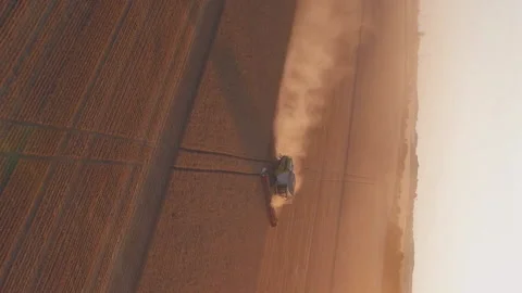 Vertical video of Combine harvester working in wheat field Stock Footage 221559599