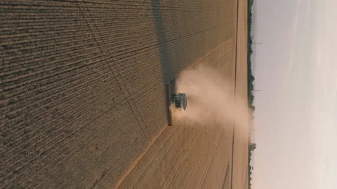 Vertical video of Combine machine harvesting field at sunset Stock-Footage 225068241