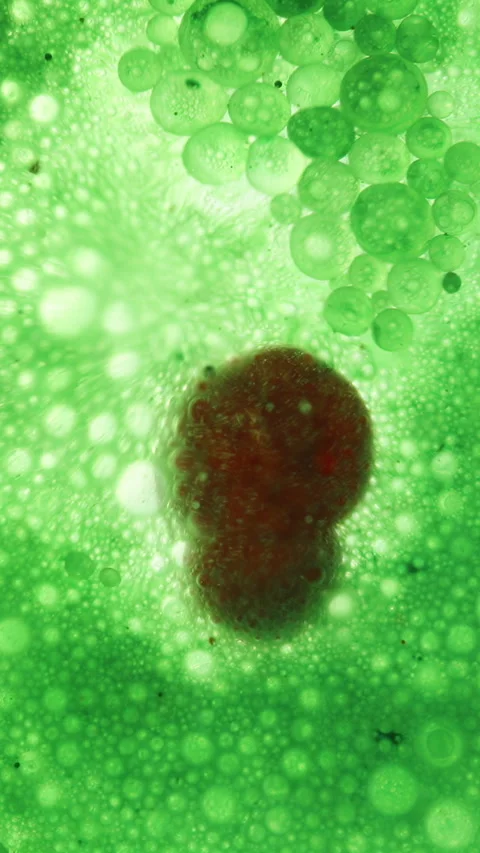 Vertical video. Concept Of Cell Division, Red Cells Multiplying In A Green Envir Stock Footage 269655135