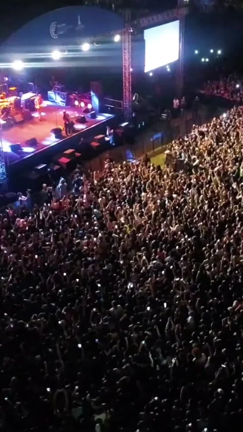 Vertical video at the concert Stock Footage 307513112