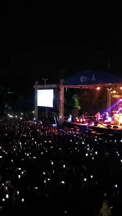 Vertical video at the concert Stock Footage 307513113