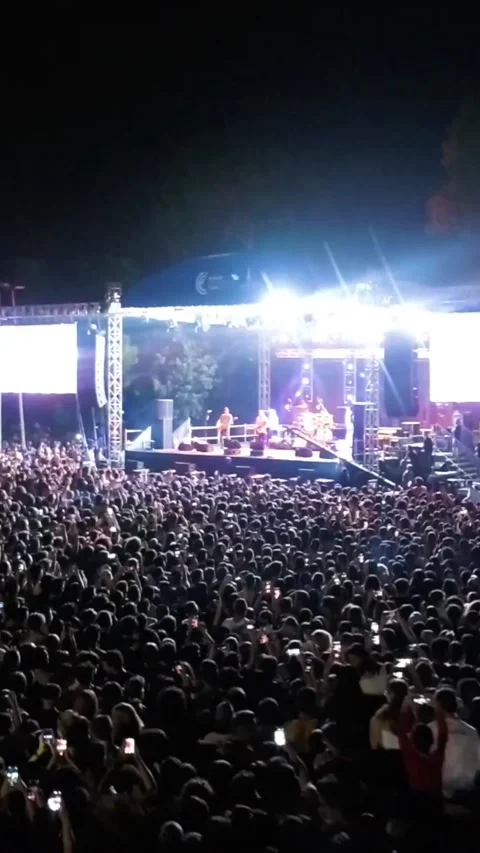 Vertical video at the concert Stock Footage 307513114