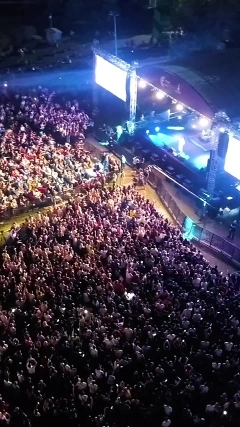 Vertical video at the concert Video stock 307513118