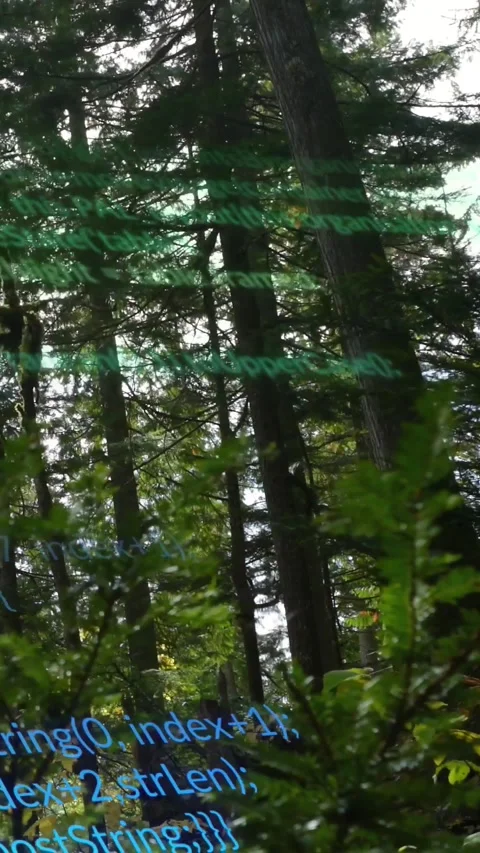 Vertical video: Conifer trunks holding while green-blue code appearing, Stock Footage 329613006