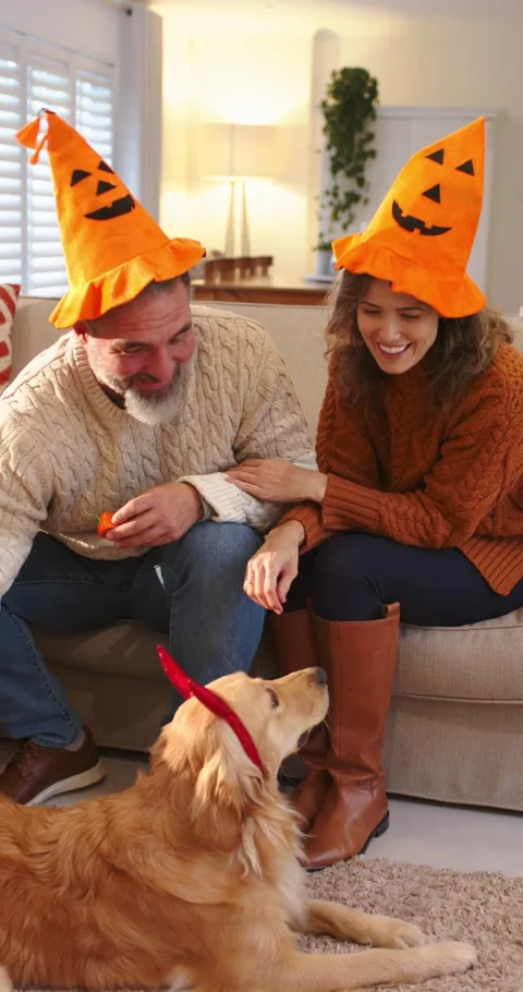 Vertical video: Couple wearing pumpkin hats glancing at retriever feeding candy Stock Footage 345320718