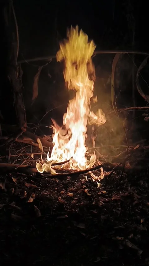 Vertical video of a cozy bonfire burning dry twigs and leaves outdoors at ni 動画素材 340265256