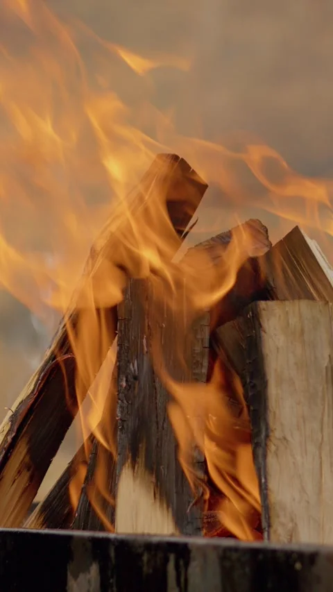 Vertical video Crackling wood fire burning intensely crackling Stock Footage 303569267