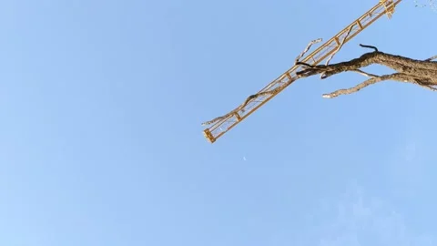 A vertical video of a crane working behind a tree branch at a beach 스톡 동영상 143943777