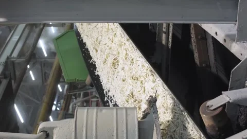 Vertical video. Crushed sugar beet moves on a conveyor belt. Food Industry Stock-Footage 253502121