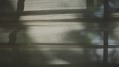 Vertical video. Curtains background on the window with shadows Stock Footage 246572676