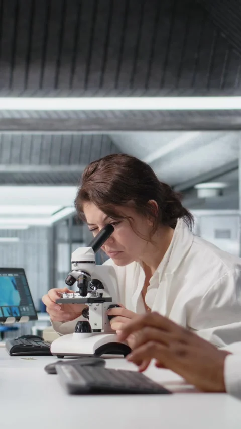 Vertical video Cytotechnologist adjusts microscope, zooms on cellular structures Video stock 319711379