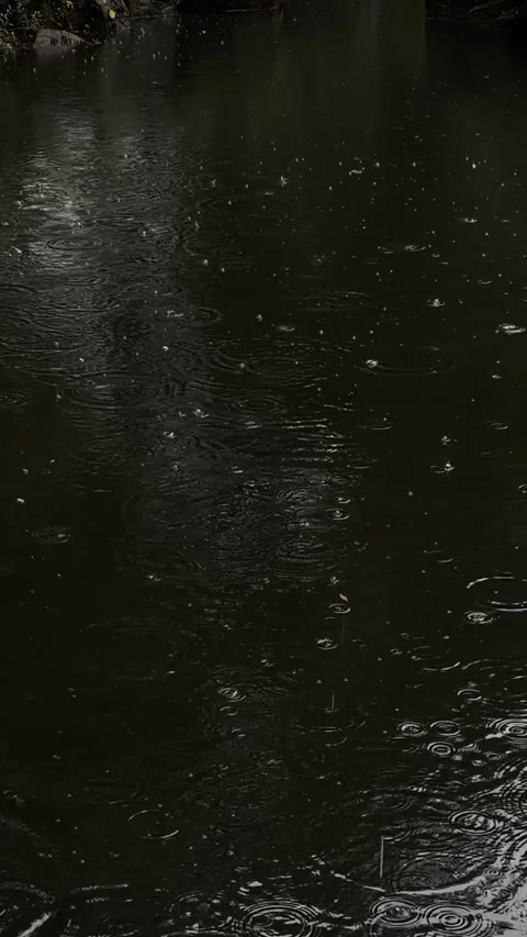 Vertical video of dark water surface with rain ripples on rainy day Stock Footage 346703967