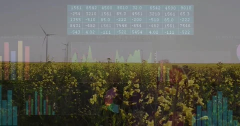 Vertical video: Data feed animating charts over yellow crop and turbines at Stock Footage 332316523
