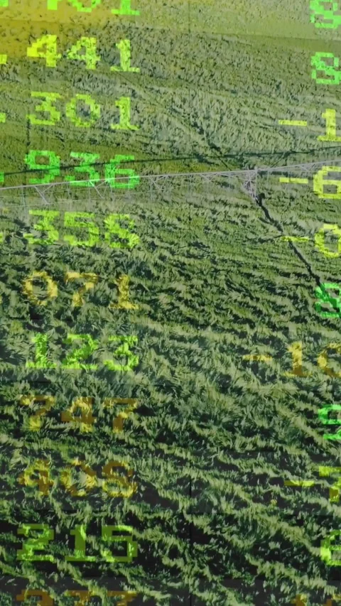 Vertical video: Data feed starting scrolling numbers over forest as camera Stock Footage 328350168