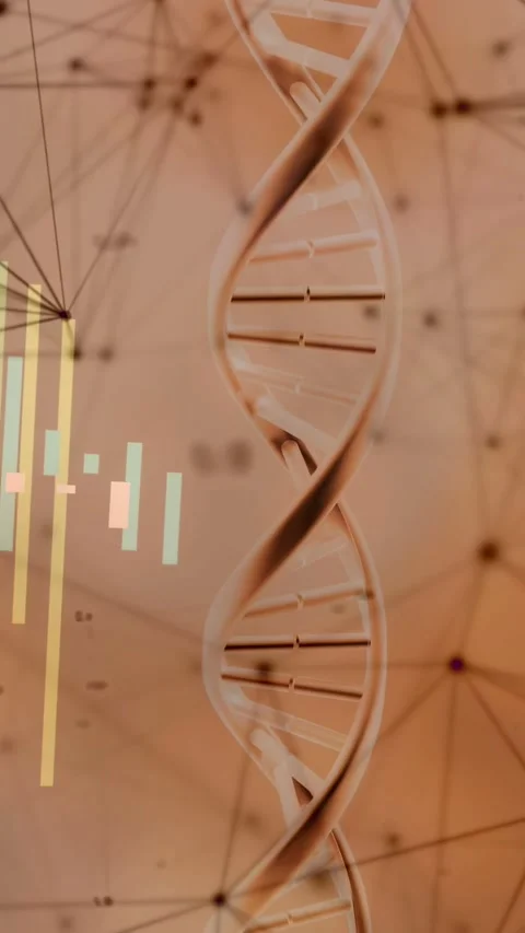 Vertical video: On data load, DNA helix rotating over node web as bars sliding, 動画素材 332747810
