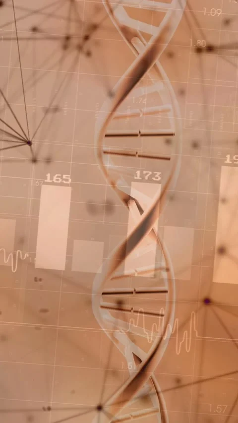 Vertical video: On data update 3D DNA helix rotating, nodes pulsing, bars Stock Footage 332775135