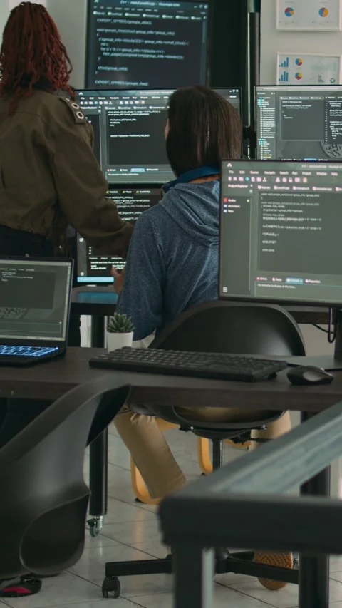 Vertical video: Database admins collaborating on group project compiling Stock Footage 218578045