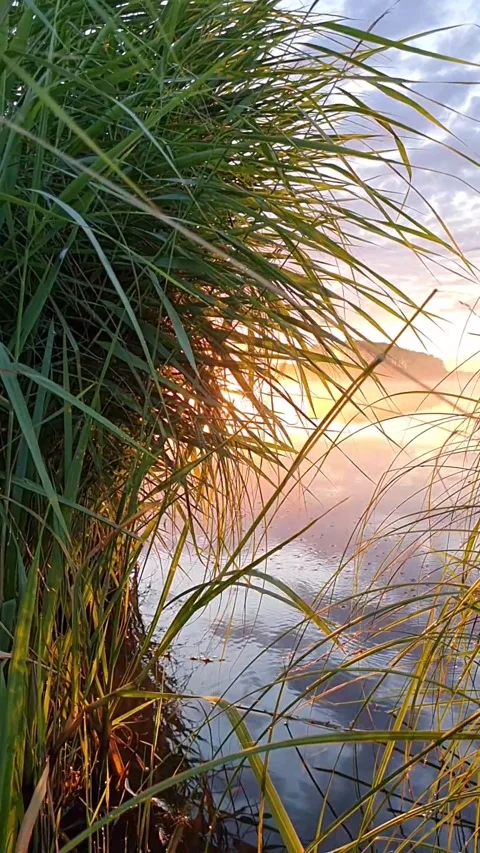 Vertical video dawn Video stock 157827250