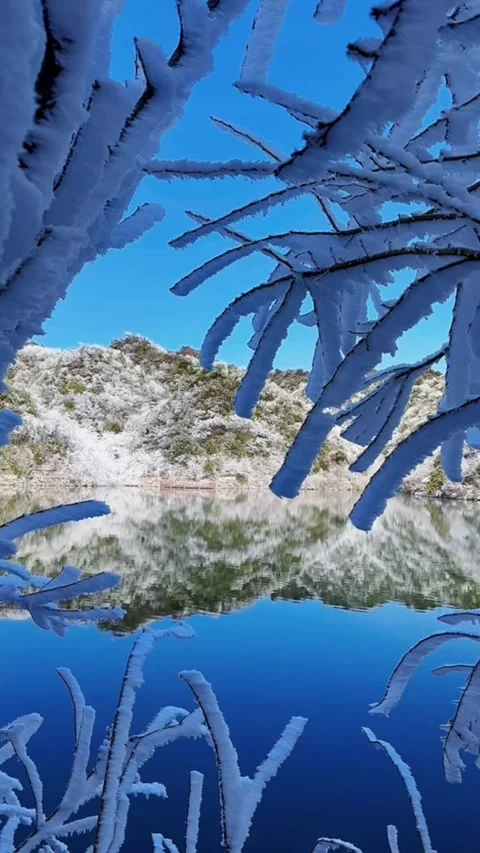 Vertical video of deep blue rippling lake water framed by rime ice covered t Vídeos de archivo 327582136