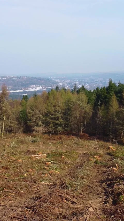 Vertical Video of Deforested Area with City in Background Illustrating Stock Footage 333634592