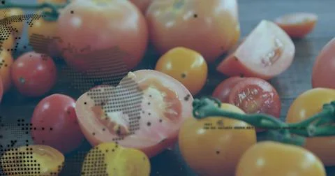 Vertical video: Designer adding halftone overlay to tomatoes on wood, showing Stock Photos