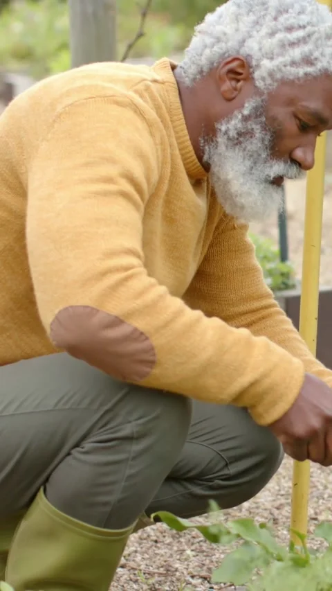 Vertical video: Digging grower in yellow sweater troweling soil at garden bed, Stock-Footage 348368569