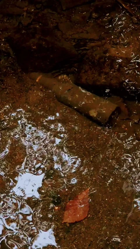 Vertical Video. A dirty bottle at the bottom of a river. Stock Footage 160078087