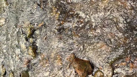 Vertical video Discover the Tranquil Beauty of a Flowing Stream with Rocks: A Stock Footage 314463551