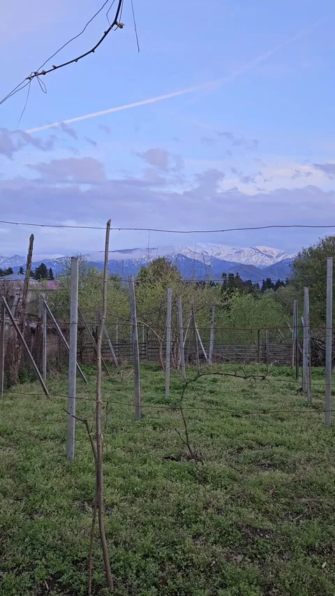 Vertical video of distant snow covered mountains with trees 스톡 동영상 337120302