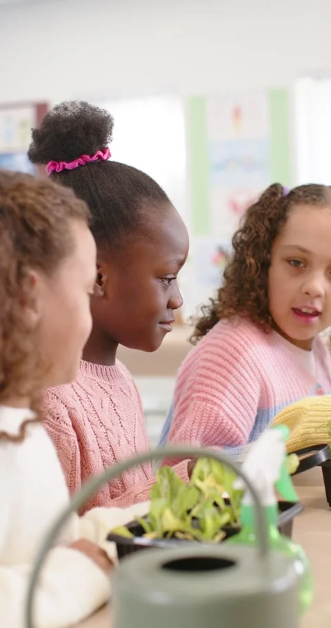 Vertical video: Diverse school-age girls studying seedlings at class table right Stock Footage 341030932