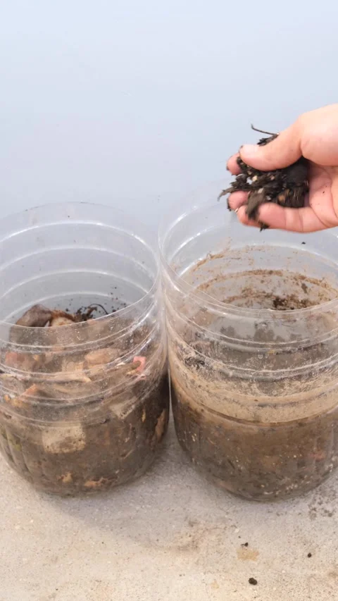 Vertical video of diy composting at home Stock Footage 266953032