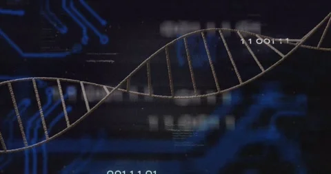 Vertical video: DNA helix undulating, sliding as circuit traces and binary Stock Footage 331161467