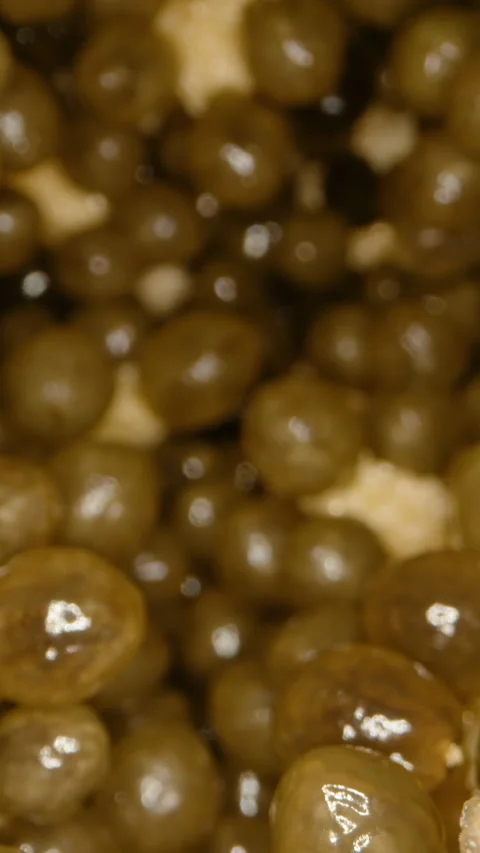 Vertical video. Dolly Slider Close-Up Showing Dense Papaya Seeds and Fibrous Video stock 313248904