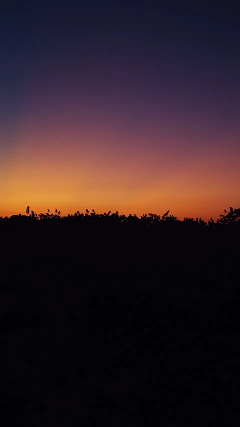 Vertical video. Dramatic Tropical Sunset With Sun Rays Stretching Across Colorfu Stock Footage 337022370