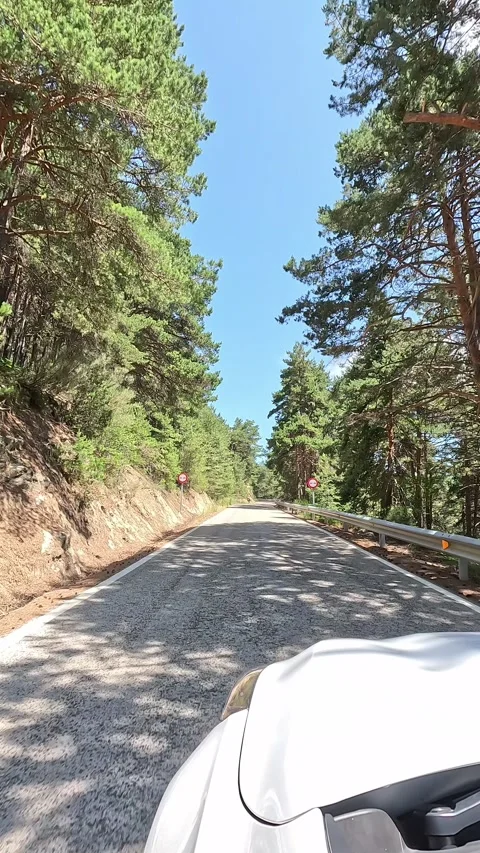 Vertical video of driving on a mountain road between trees Stock Footage 297083388