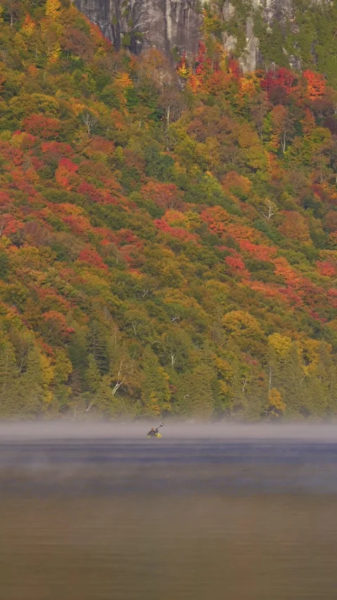 Vertical Video Drone Man Paddling Fog Covered Lake Autumn Trees Stock Footage 255752324
