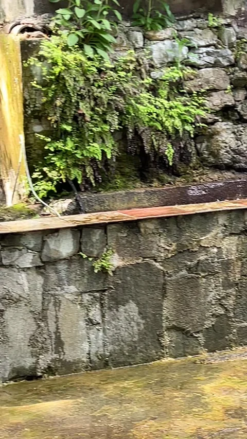 Vertical video of a duck with ducklings in a stone fountain with a waterfall in Stock Footage 308929234