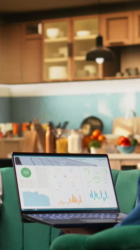 Vertical Video Elderly couple checking eco-friendly energy app on their computer Stock Footage 329649923