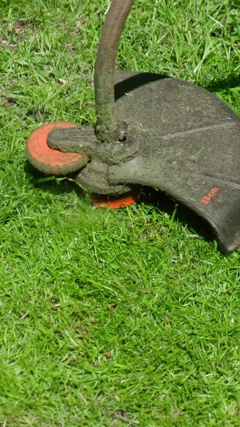Vertical video. Electric lawn mower mows grass in backyard in summer. Lawn ca Video stock 340335585