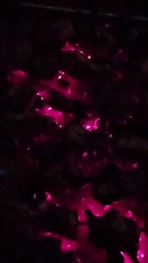 Vertical video of embers Video stock 272319437