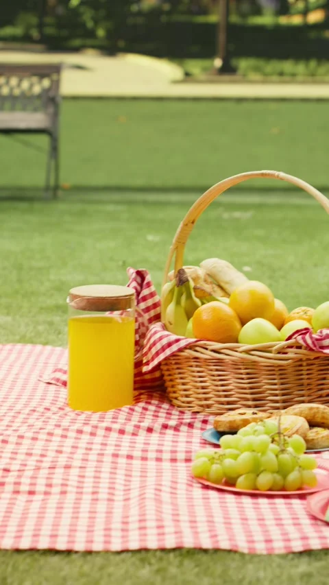 Vertical Video Empty city park with blanket and picnic basket on grass Stock Footage 341472598