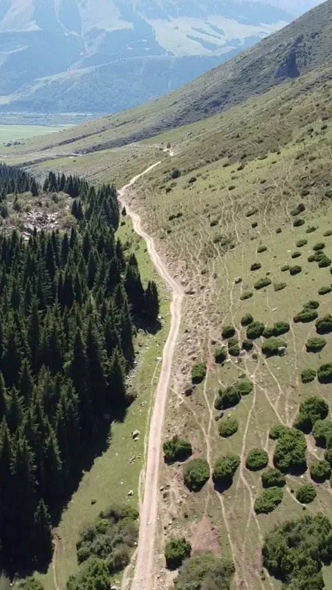 Vertical video: Empty Mountain Road Between Forest and Hill Aerial Forward Stock Footage 332010598